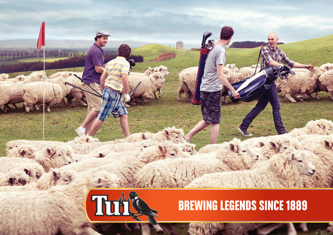 TUI_Golf%20Sheep.jpg